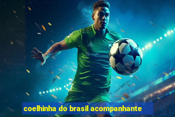 coelhinha do brasil acompanhante